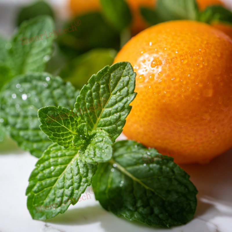 Watermint and Clementine Perfume Fragrance